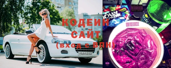 стаф Дмитров