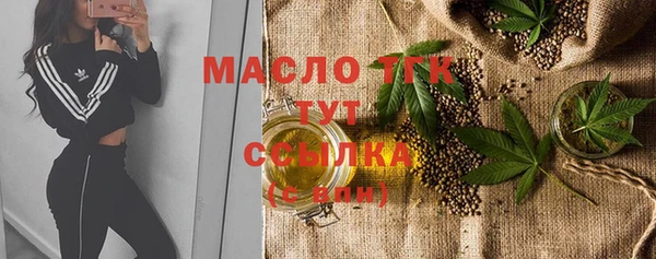 стаф Дмитров