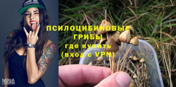 стафф Гусиноозёрск