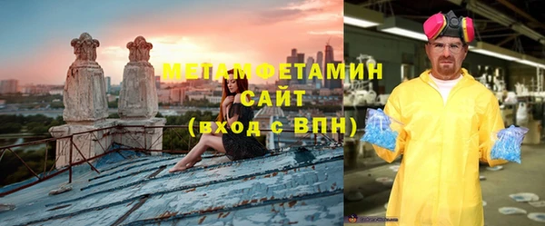 прущие грибы Елабуга