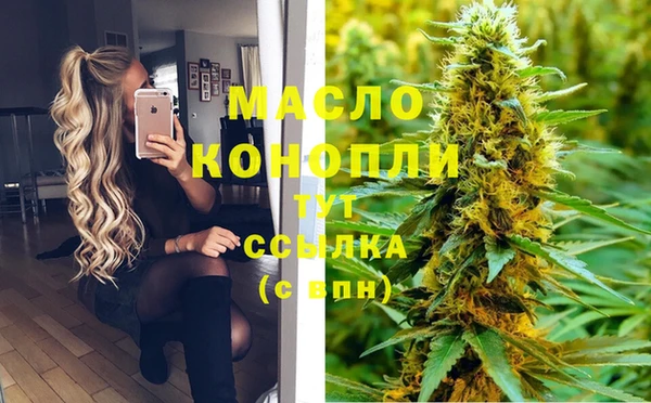 стаф Дмитров