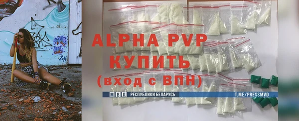 стаф Дмитров