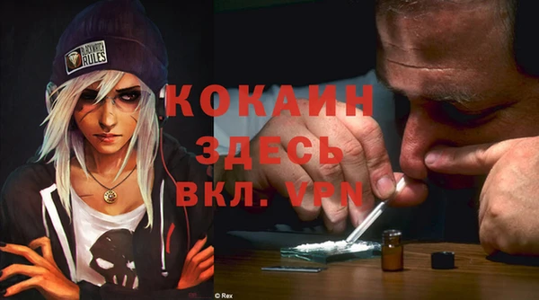 стаф Дмитров